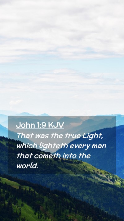 Picture 02 - John 1:9 KJV Mobile Phone Wallpaper - That was the true Light, which lighteth every man - Mobile Bible Verse Wallpaper