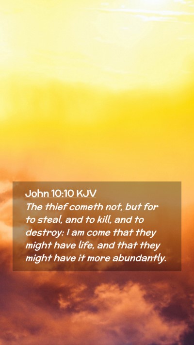 Picture 02 - John 10:10 KJV Mobile Phone Wallpaper - The thief cometh not, but for to steal, and to - Mobile Bible Verse Wallpaper