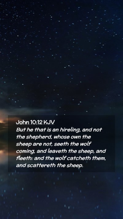 Picture 02 - John 10:12 KJV Mobile Phone Wallpaper - But he that is an hireling, and not the shepherd, - Mobile Bible Verse Wallpaper