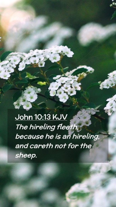 Picture 02 - John 10:13 KJV Mobile Phone Wallpaper - The hireling fleeth, because he is an hireling, - Mobile Bible Verse Wallpaper