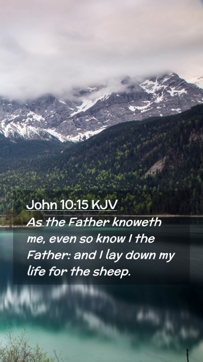 Picture 02 - John 10:15 KJV Mobile Phone Wallpaper - As the Father knoweth me, even so know I the - Mobile Bible Verse Wallpaper