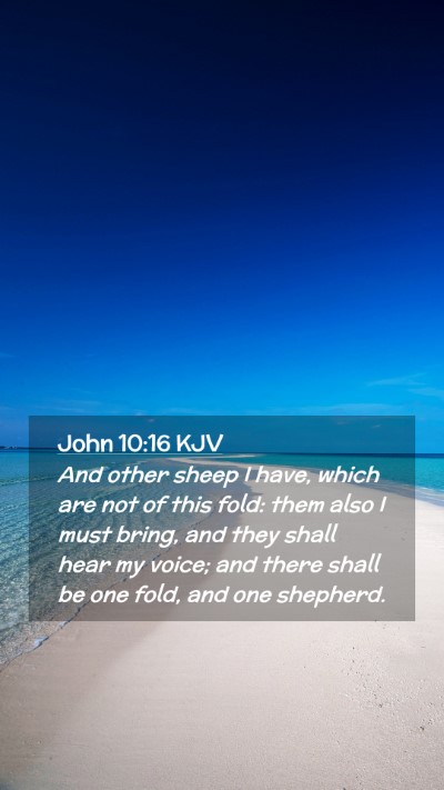 Picture 02 - John 10:16 KJV Mobile Phone Wallpaper - And other sheep I have, which are not of this - Mobile Bible Verse Wallpaper