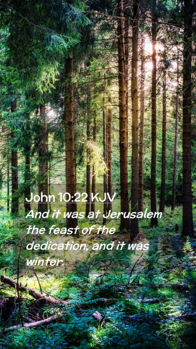 Picture 02 - John 10:22 KJV Mobile Phone Wallpaper - And it was at Jerusalem the feast of the - Mobile Bible Verse Wallpaper