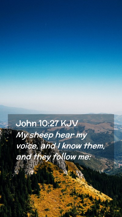 Picture 02 - John 10:27 KJV Mobile Phone Wallpaper - My sheep hear my voice, and I know them, and they - Mobile Bible Verse Wallpaper