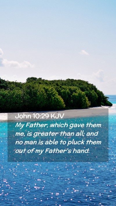 Picture 02 - John 10:29 KJV Mobile Phone Wallpaper - My Father, which gave them me, is greater than - Mobile Bible Verse Wallpaper