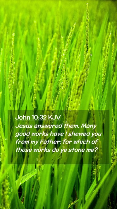 Picture 02 - John 10:32 KJV Mobile Phone Wallpaper - Jesus answered them, Many good works have I - Mobile Bible Verse Wallpaper