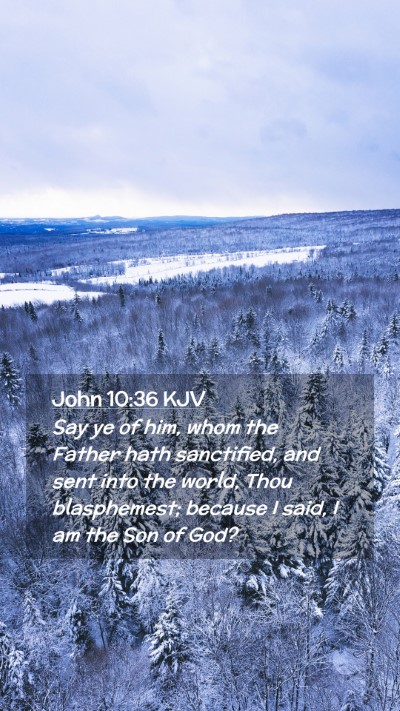 Picture 02 - John 10:36 KJV Mobile Phone Wallpaper - Say ye of him, whom the Father hath sanctified, - Mobile Bible Verse Wallpaper