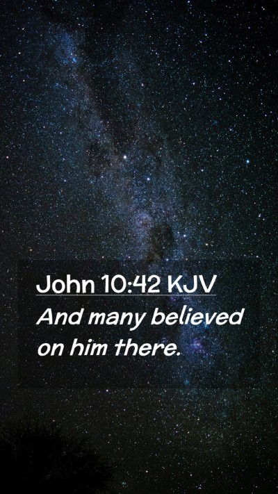 Picture 02 - John 10:42 KJV Mobile Phone Wallpaper - And many believed on him - Mobile Bible Verse Wallpaper