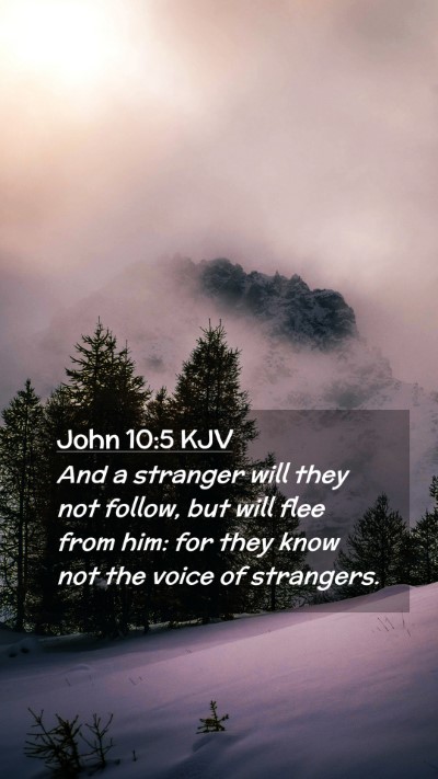 Picture 02 - John 10:5 KJV Mobile Phone Wallpaper - And a stranger will they not follow, but will - Mobile Bible Verse Wallpaper