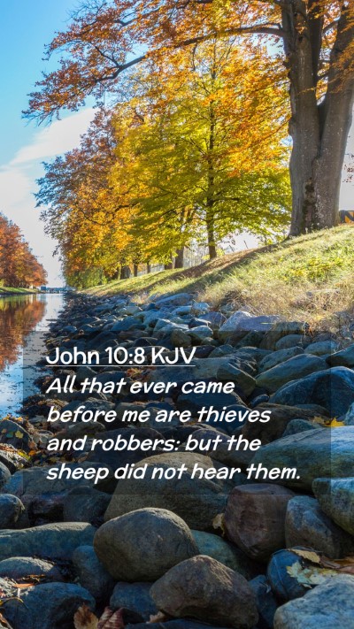 Picture 02 - John 10:8 KJV Mobile Phone Wallpaper - All that ever came before me are thieves and - Mobile Bible Verse Wallpaper
