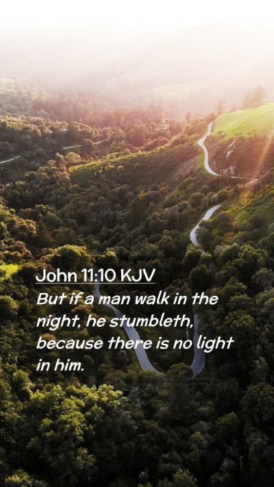 Picture 02 - John 11:10 KJV Mobile Phone Wallpaper - But if a man walk in the night, he stumbleth, - Mobile Bible Verse Wallpaper