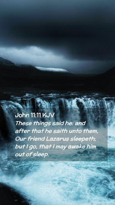 Picture 02 - John 11:11 KJV Mobile Phone Wallpaper - These things said he: and after that he saith - Mobile Bible Verse Wallpaper