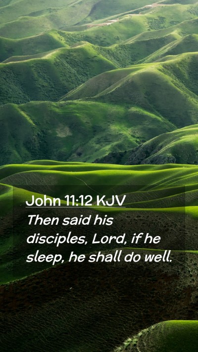 Picture 02 - John 11:12 KJV Mobile Phone Wallpaper - Then said his disciples, Lord, if he sleep, he - Mobile Bible Verse Wallpaper