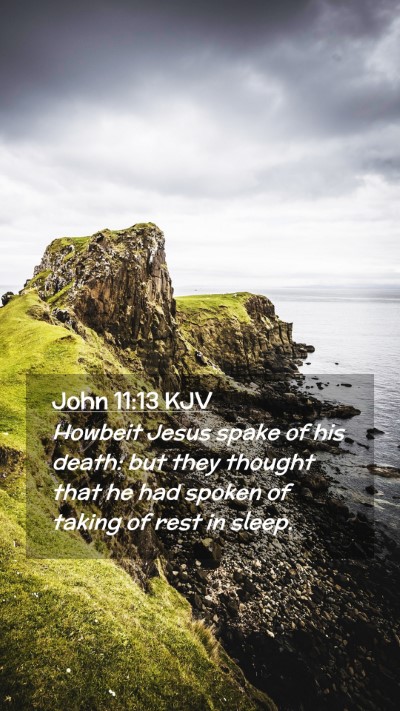 Picture 02 - John 11:13 KJV Mobile Phone Wallpaper - Howbeit Jesus spake of his death: but they - Mobile Bible Verse Wallpaper
