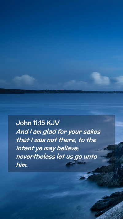 Picture 02 - John 11:15 KJV Mobile Phone Wallpaper - And I am glad for your sakes that I was not - Mobile Bible Verse Wallpaper