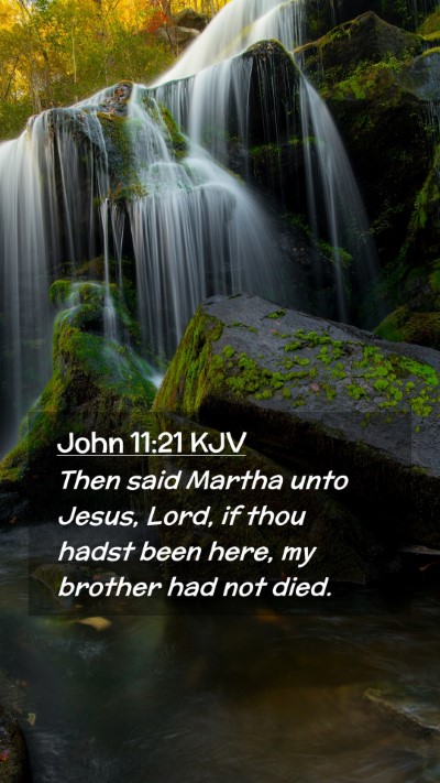 Picture 02 - John 11:21 KJV Mobile Phone Wallpaper - Then said Martha unto Jesus, Lord, if thou hadst - Mobile Bible Verse Wallpaper