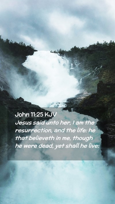 Picture 02 - John 11:25 KJV Mobile Phone Wallpaper - Jesus said unto her, I am the resurrection, and - Mobile Bible Verse Wallpaper