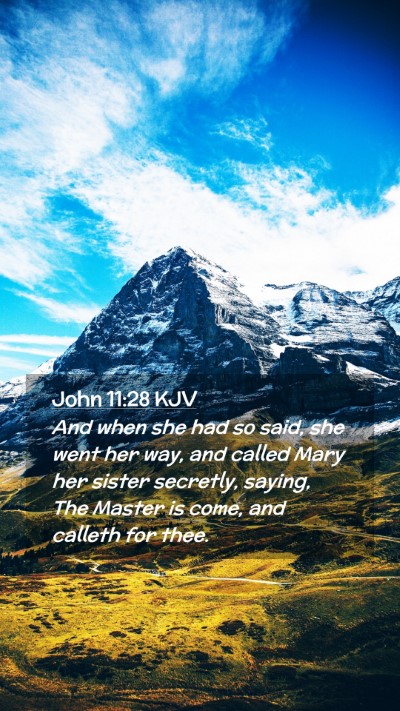 Picture 02 - John 11:28 KJV Mobile Phone Wallpaper - And when she had so said, she went her way, and - Mobile Bible Verse Wallpaper