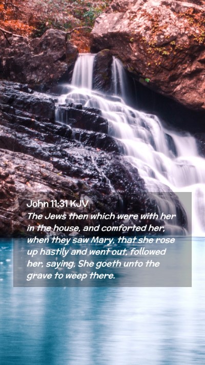Picture 02 - John 11:31 KJV Mobile Phone Wallpaper - The Jews then which were with her in the house, - Mobile Bible Verse Wallpaper