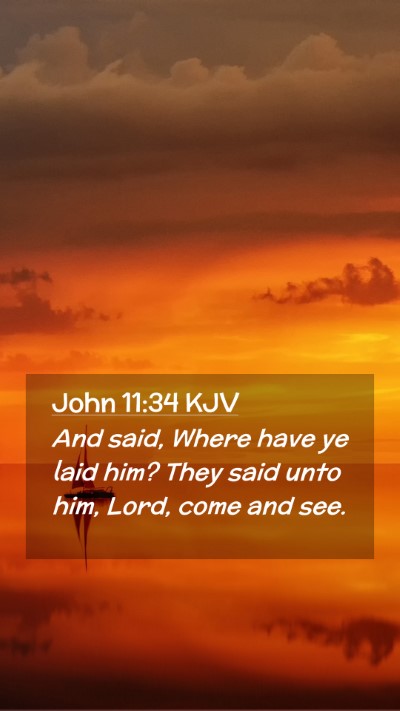 Picture 02 - John 11:34 KJV Mobile Phone Wallpaper - And said, Where have ye laid him? They said unto - Mobile Bible Verse Wallpaper