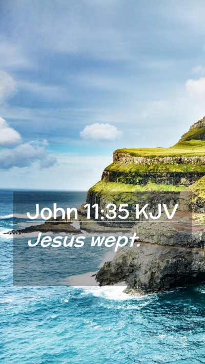 Picture 02 - John 11:35 KJV Mobile Phone Wallpaper - Jesus - Mobile Bible Verse Wallpaper