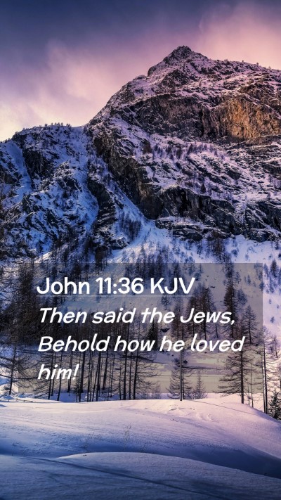 Picture 02 - John 11:36 KJV Mobile Phone Wallpaper - Then said the Jews, Behold how he loved - Mobile Bible Verse Wallpaper