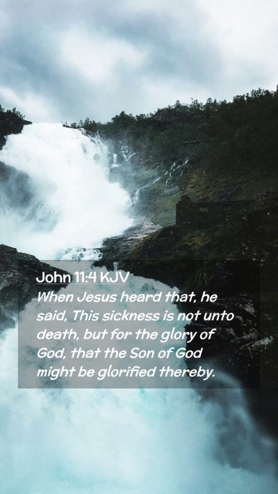 Picture 02 - John 11:4 KJV Mobile Phone Wallpaper - When Jesus heard that, he said, This sickness is - Mobile Bible Verse Wallpaper