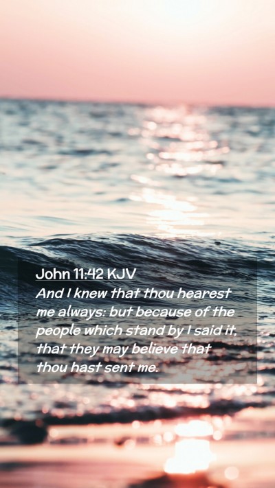 Picture 02 - John 11:42 KJV Mobile Phone Wallpaper - And I knew that thou hearest me always: but - Mobile Bible Verse Wallpaper