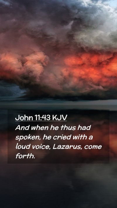 Picture 02 - John 11:43 KJV Mobile Phone Wallpaper - And when he thus had spoken, he cried with a loud - Mobile Bible Verse Wallpaper
