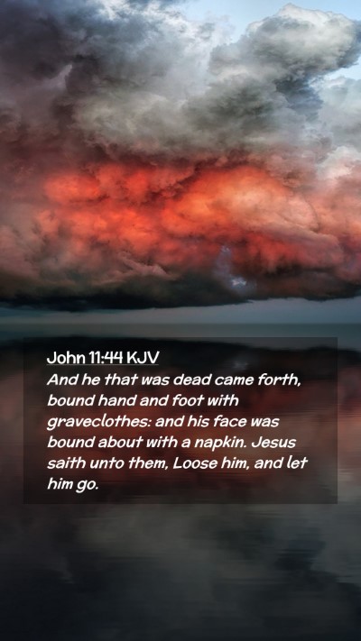 Picture 02 - John 11:44 KJV Mobile Phone Wallpaper - And he that was dead came forth, bound hand and - Mobile Bible Verse Wallpaper