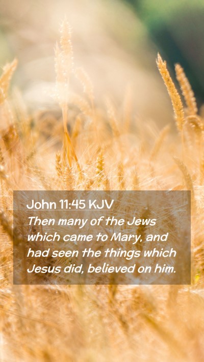 Picture 02 - John 11:45 KJV Mobile Phone Wallpaper - Then many of the Jews which came to Mary, and had - Mobile Bible Verse Wallpaper