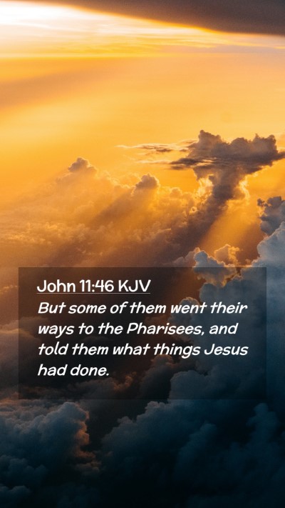 Picture 02 - John 11:46 KJV Mobile Phone Wallpaper - But some of them went their ways to the - Mobile Bible Verse Wallpaper