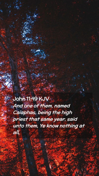 Picture 02 - John 11:49 KJV Mobile Phone Wallpaper - And one of them, named Caiaphas, being the high - Mobile Bible Verse Wallpaper