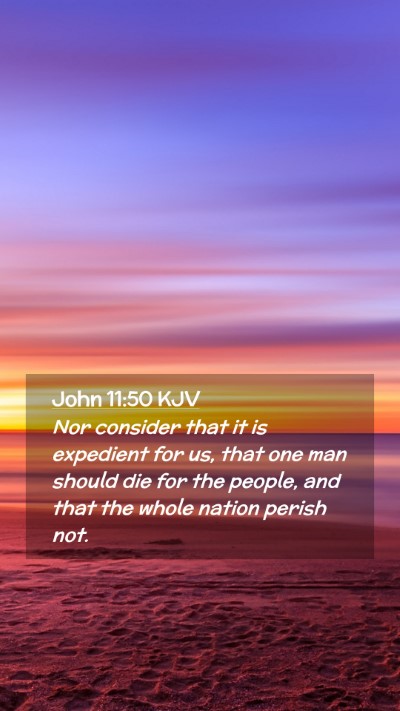 Picture 02 - John 11:50 KJV Mobile Phone Wallpaper - Nor consider that it is expedient for us, that - Mobile Bible Verse Wallpaper