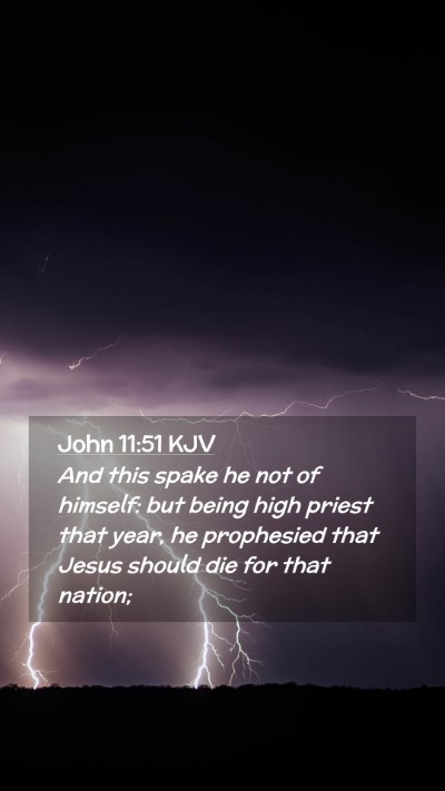 Picture 02 - John 11:51 KJV Mobile Phone Wallpaper - And this spake he not of himself: but being high - Mobile Bible Verse Wallpaper