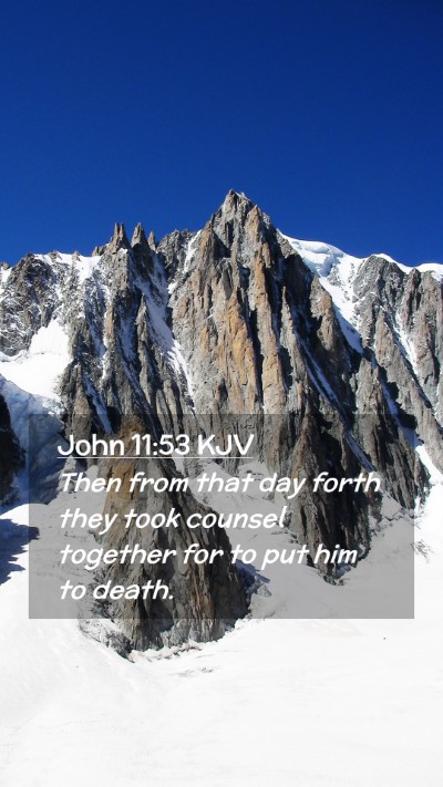 Picture 02 - John 11:53 KJV Mobile Phone Wallpaper - Then from that day forth they took counsel - Mobile Bible Verse Wallpaper