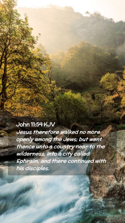 Picture 02 - John 11:54 KJV Mobile Phone Wallpaper - Jesus therefore walked no more openly among the - Mobile Bible Verse Wallpaper