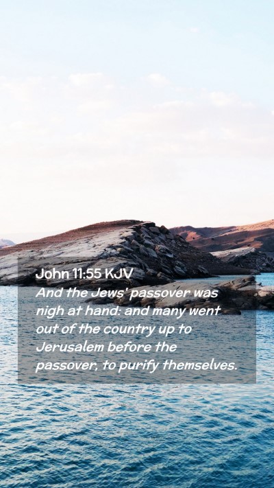 Picture 02 - John 11:55 KJV Mobile Phone Wallpaper - And the Jews' passover was nigh at hand: and many - Mobile Bible Verse Wallpaper