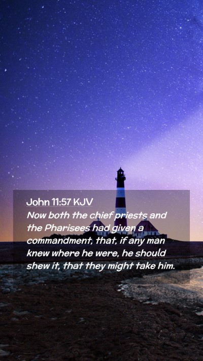Picture 02 - John 11:57 KJV Mobile Phone Wallpaper - Now both the chief priests and the Pharisees had - Mobile Bible Verse Wallpaper