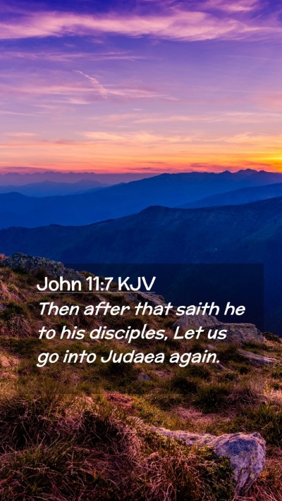 Picture 02 - John 11:7 KJV Mobile Phone Wallpaper - Then after that saith he to his disciples, Let us - Mobile Bible Verse Wallpaper