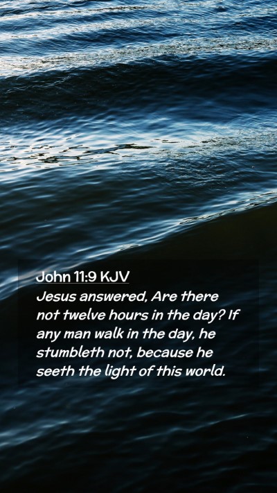 Picture 02 - John 11:9 KJV Mobile Phone Wallpaper - Jesus answered, Are there not twelve hours in the - Mobile Bible Verse Wallpaper