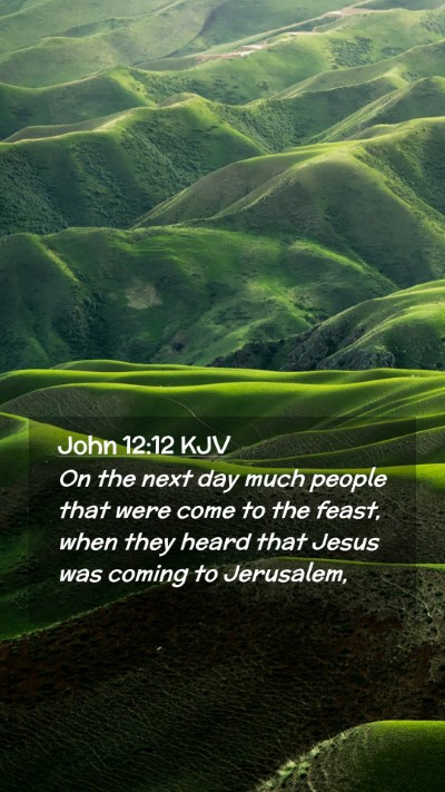 Picture 02 - John 12:12 KJV Mobile Phone Wallpaper - On the next day much people that were come to the - Mobile Bible Verse Wallpaper