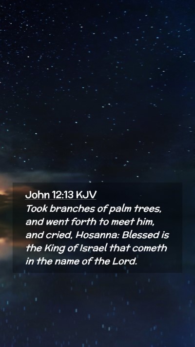 Picture 02 - John 12:13 KJV Mobile Phone Wallpaper - Took branches of palm trees, and went forth to - Mobile Bible Verse Wallpaper