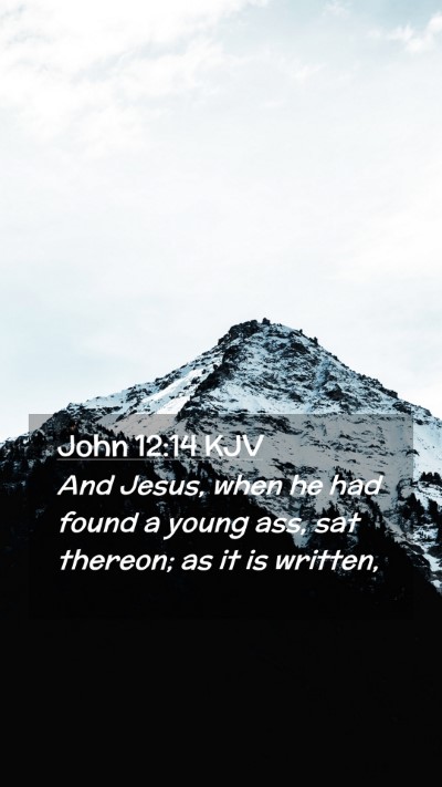 Picture 02 - John 12:14 KJV Mobile Phone Wallpaper - And Jesus, when he had found a young ass, sat - Mobile Bible Verse Wallpaper