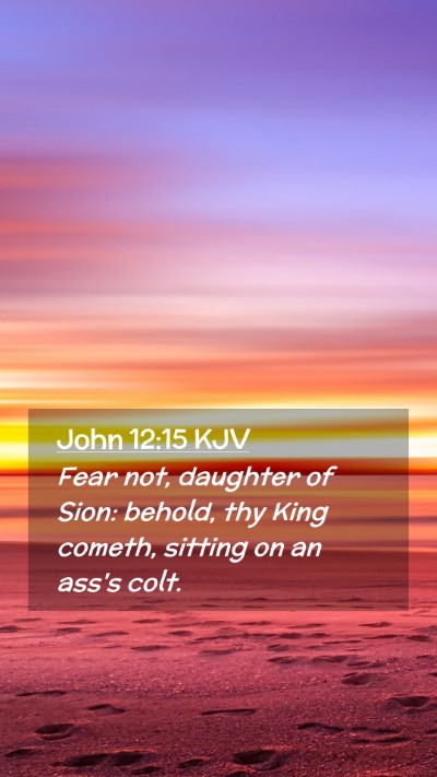 Picture 02 - John 12:15 KJV Mobile Phone Wallpaper - Fear not, daughter of Sion: behold, thy King - Mobile Bible Verse Wallpaper