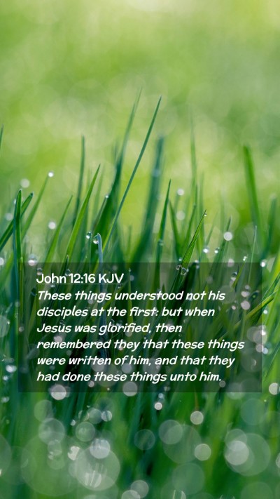Picture 02 - John 12:16 KJV Mobile Phone Wallpaper - These things understood not his disciples at the - Mobile Bible Verse Wallpaper