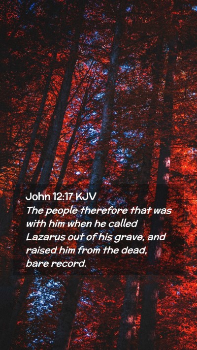 Picture 02 - John 12:17 KJV Mobile Phone Wallpaper - The people therefore that was with him when he - Mobile Bible Verse Wallpaper
