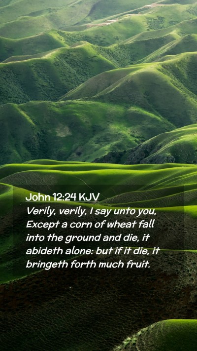 Picture 02 - John 12:24 KJV Mobile Phone Wallpaper - Verily, verily, I say unto you, Except a corn of - Mobile Bible Verse Wallpaper