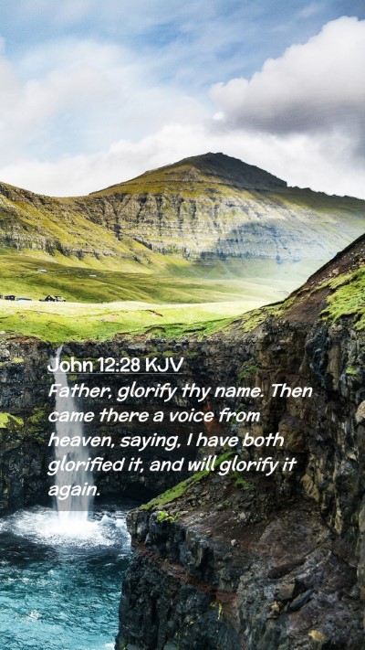 Picture 02 - John 12:28 KJV Mobile Phone Wallpaper - Father, glorify thy name. Then came there a voice - Mobile Bible Verse Wallpaper