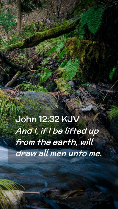 Picture 02 - John 12:32 KJV Mobile Phone Wallpaper - And I, if I be lifted up from the earth, will - Mobile Bible Verse Wallpaper